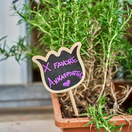 Διαμέρισμα Casa Stella *