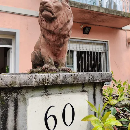 Apartment Casa Stella Viareggio