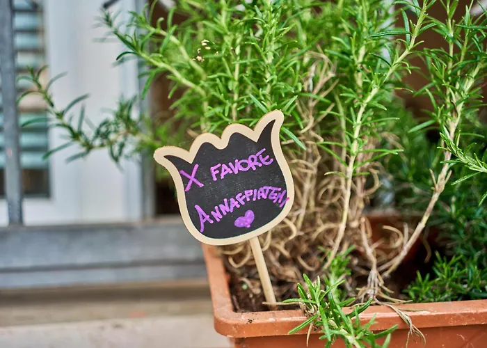 Διαμέρισμα Casa Stella *